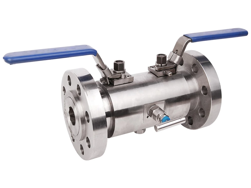 Modular double block & bleed (DBB) valve
